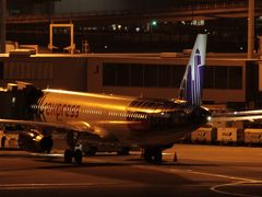 関西空港スカイビュー展望台夜景最高