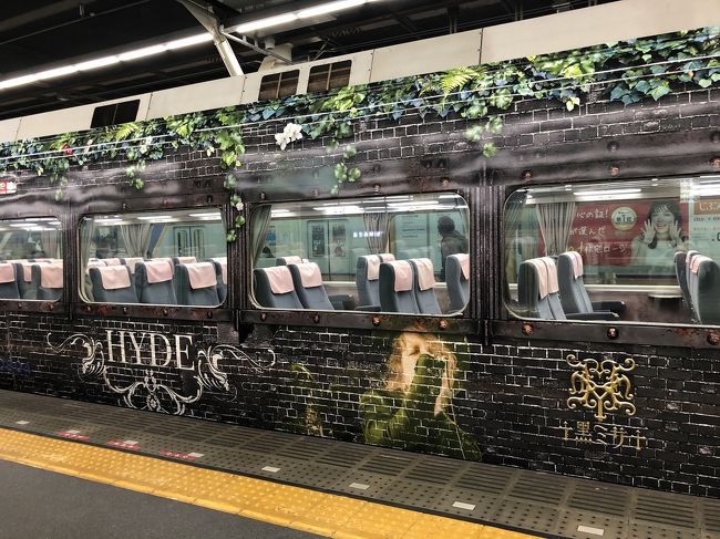 南海電鉄と和歌山市がL&#39;Arc～en～Cielのhydeさんとコラボレーションした特急「HYDE サザン」に乗ってきました。<br /><br />難波駅~和歌山市駅・和歌山港駅の間を2020年10月頃まで運行する予定の電車。<br />車両全体に去年の1月29日HYDEさんの誕生日に自身の地元、和歌山市で開催された『HYDE ACOUSTIC CONCERT 2019 黑ミサ BIRTHDAY -WAKAYAMA-』のイメージがラッピングされていて、「和歌山市ふるさと観光大使」に就任したことをきっかけに造られました。<br />公式ティーザー　https://youtu.be/NY0V67k3kUI