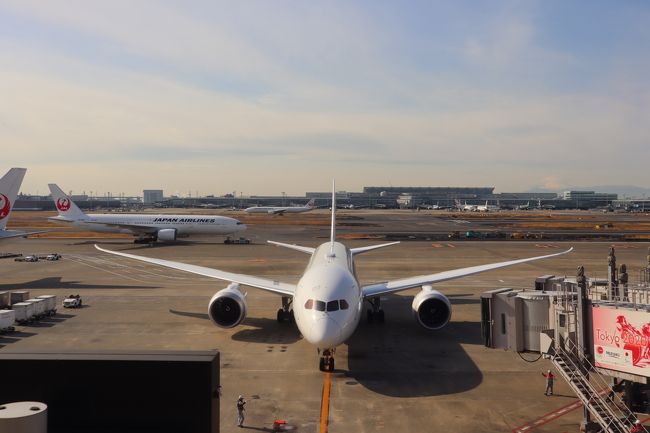 東方神起ライブ♪大阪遠征♪JAL787国内線なのにモニター付き！コートヤードバイマリオットに宿泊！！