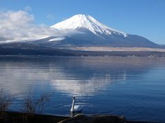 ０６．年末のエクシブ山中湖2泊　山中湖パノラマ台　山中湖畔の散歩道その１　山中湖交流プラザ きららその１