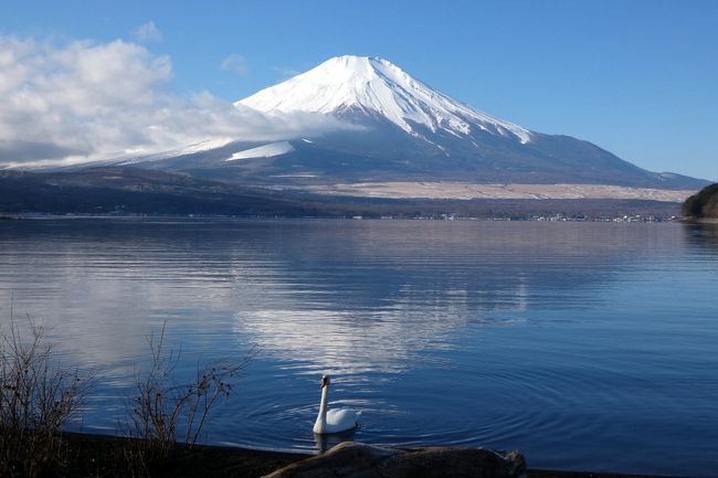 日本料理 花木鳥で満足の朝食を楽しんでお部屋に戻ると、空は晴れて富士山の絶景が広がっています。<br /><br />そこで、更に綺麗な富士山を楽しもうと、先ずは山中湖パノラマ台に向かいます。