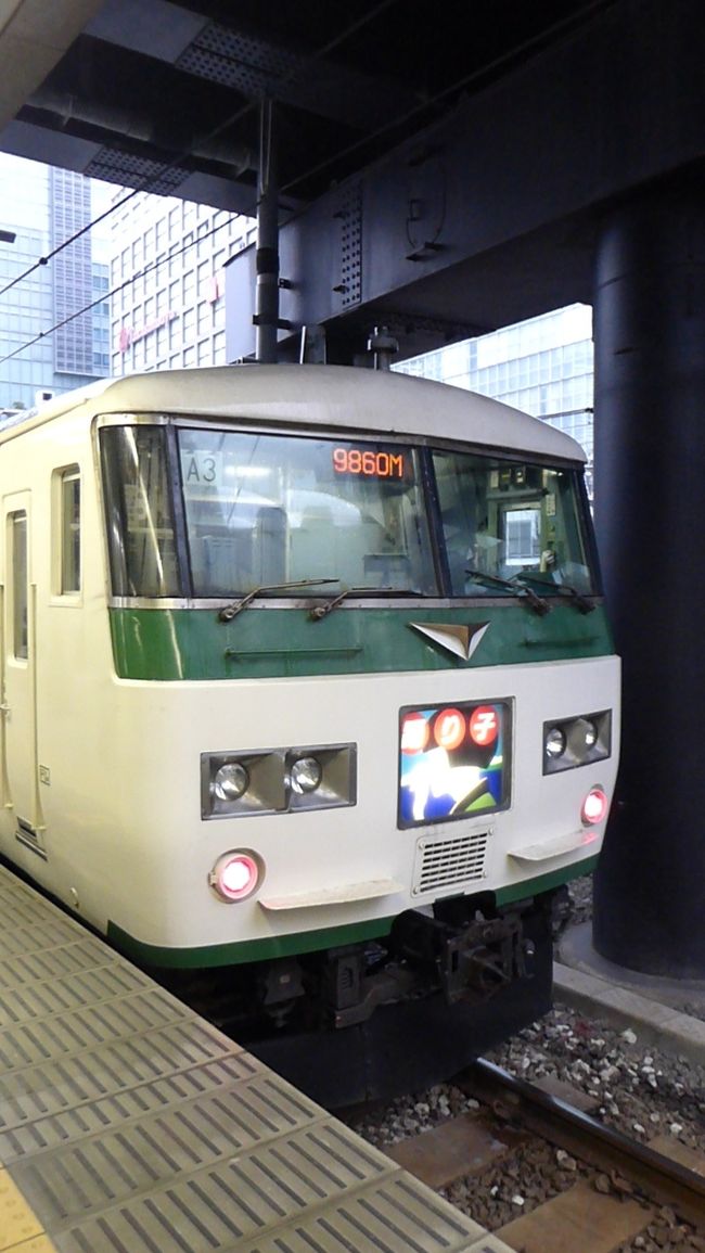 1月18日(土)~19日(日)の同僚との伊豆への旅行についてです。いわゆる社員旅行で、10人で行きました。<br />JR特急踊り子号で伊東へ行き、レンタカーを使いました。<br />1日目はあいにくの雨天。伊東マリンタウンで早くもランチでした。インスタ栄え狙いの海鮮丼、ドンブリは小振りだったけど、伊豆産じゃないそんなに新鮮ではない海鮮を食べ続けて、食べ応えが有りました。<br />ステンドグラス美術館、20世紀美術館を鑑賞しました。<br />夜、伊東で旅館であった東海館を見学しました。見事な木造建築と夜景が良かった。<br />宿はホテルラヴィエ川良、大ホテルです。良い湯で、夕飯は焼きアワビや金目鯛の煮付けが旨かった。<br />翌日早朝に1人でホテルを抜け出しました。近くの玖須美元和田の丘へ登りました。下ろうとした道が途中で無くなっており、太い竹が茂る薮を下りました。<br />9時半にホテルを全員で出発し、2日目は西伊豆の韮沢反射炉、伊東の城ヶ崎海岸等を観光しました。