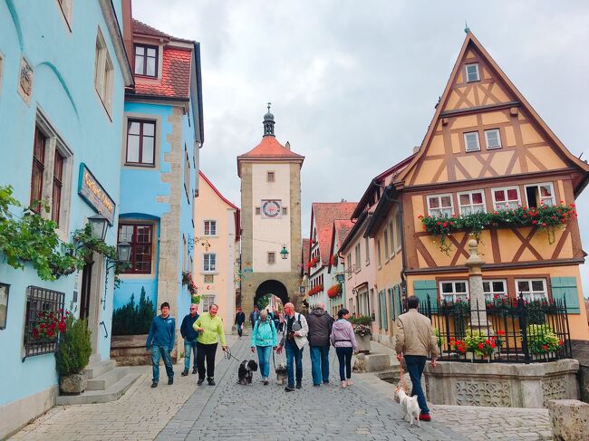 初めてのドイツ、ひとり旅で行ってきました!<br />ツアーを利用せず、自由な旅です。<br />フランクフルト(2泊)→ローテンブルク(1泊)→ミュンヘン(2泊)の3都市をまわりました。<br /><br />飛行機を乗り継ぎ、現地でも都市間の移動があり…とドキドキでしたが、<br />どの都市でも感動しっぱなし、大満足の旅になりました!<br /><br />今日はフランクフルトからローテンブルクに移動。かわいくて素敵な雰囲気のローテンブルクの街を、一日中観光しました◎