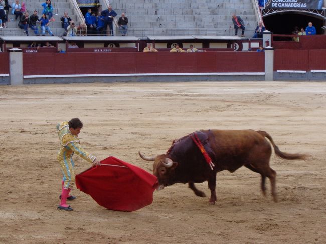 スペイン2日目、お昼過ぎまでトレドの町歩き。 夕方からはマドリードに移動して、闘牛を見物しました。<br />スペインの風土に触れた1日、楽しかったです。<br />