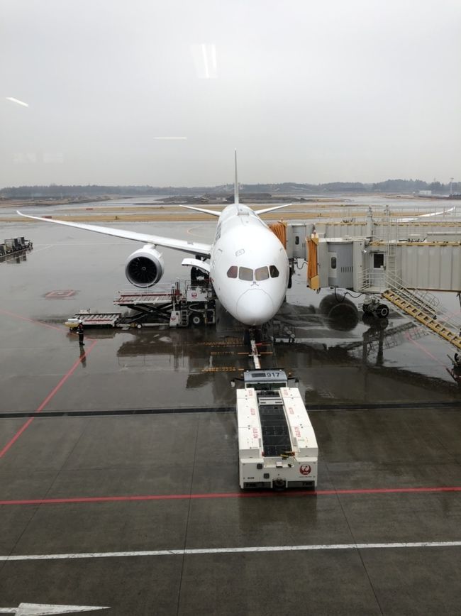 2020年1月　旧正月のクアラルンプール4日間- 成田アメリカン航空ラウンジ、JALビジネス搭乗編