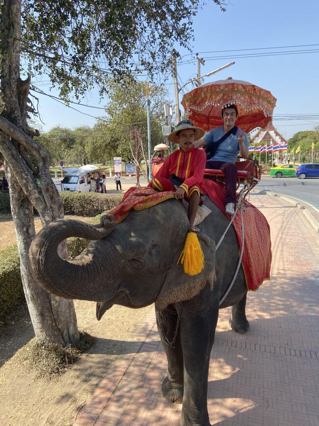 象に乗りたかったのでアユタヤへ。<br />12月のアユタヤは暑かった！<br /><br />タイはおまけ的な旅行で、実際にはこの後向かったバングラデシュが旅のメインイベントです。<br />バングラ編も見てね！<br />