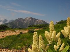 念願の八峰キレットその２、八峰キレット小屋から唐松、八方尾根を下山