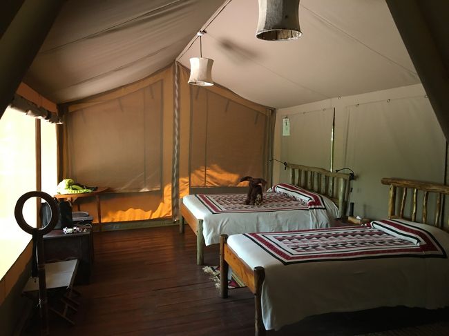 宿泊先の “Basecamp Masai Mara” にチェックイン！