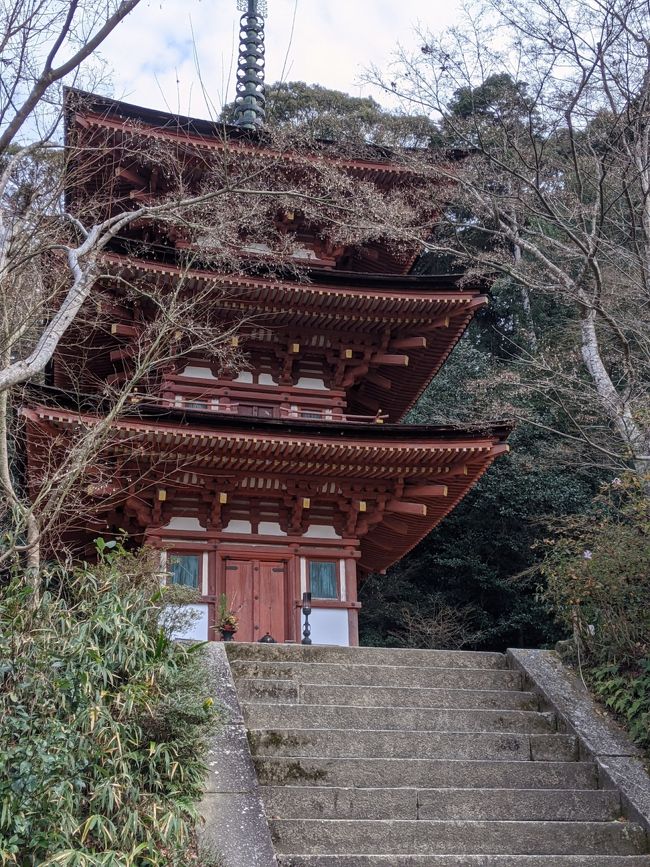 紅葉の季節に混雑して行けなかった浄瑠璃寺へ。