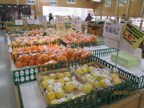 柏市の大堀川・農産物直売所「かしわで」・さんち家