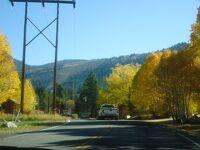 カリフォルニア州 ジューン レイク ループ ロード　－　紅葉の景勝道路をドライブ