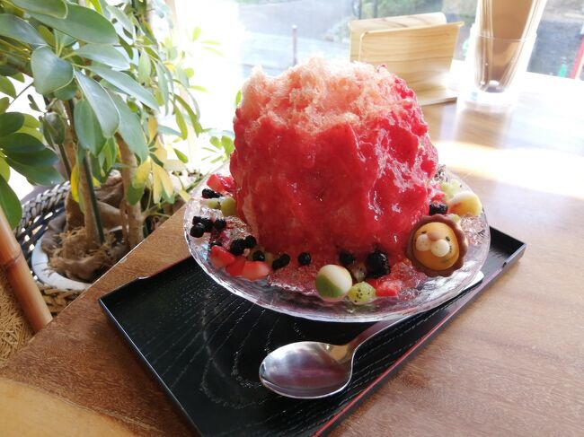 20 東京御朱印さんぽ 三軒茶屋2 かき氷喫茶バンパク 和kitchenかんなの第1回氷楽祭 三軒茶屋 駒沢 東京 の旅行記 ブログ By たーさん フォートラベル 20 東京御朱印さんぽ 三軒茶屋2 かき氷喫茶バンパク 和kitchenかんなの第1回氷楽祭 三軒茶屋 駒沢 東京 の旅行記 ブログ By たーさん フォートラベル