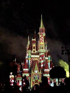 2019クリスマスＷＤＷ旅行☆４日目④☆ＭＫ；ミッキーのベリー・メリー・クリスマス・パーティー②