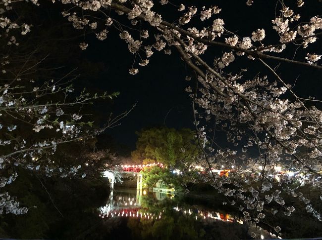岡崎城の夜桜を見に行きました。<br />ご飯を食べながら<br />ゆったり楽しむことが出来ました。<br />屋台の数がとにかく多いので<br />子供連れの方に特におすすめです。<br />