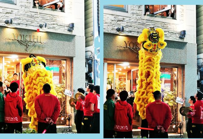 中国では旧暦の正月を今でも盛大にお祝いする風習が残っています。<br />毎年春節のイベントに中華街へ行こうかと迷いますが、満員電車のような激混みだろうなと尻込みしていました。<br />今、本城雅人さんの『希望の獅子』を読書中。<br />横浜中華街が舞台で、その本を読んではじめて中国系と台湾系のそれぞれの学校があることを知りました。<br />獅子舞の練習風景も出てくるので興味が湧き、娘を誘い行くことに。<br /><br />今年は、1月25日土曜から。<br />土曜なのにね、コロナウイルスの影響か、<br />想像したよりずっと空いていました(^o^)v<br /><br />25日夕方には、5頭の獅子が5コースに分かれ、銅鑼や太鼓の音が鳴り響く中、中華街各店舗の商売繁盛や五穀豊穣を祈って、獅子舞（採青ツァイチン）を披露。<br />お店の中まで入り、ご祝儀をいただいて回るようです。<br />最後に店を出てきてから、後ろ足の人の肩に前方の人が立って伸び上がり、店先につるされた祝儀袋をパクリ。<br />すると、爆竹の大爆音が響き渡り、煙がモクモクって。<br /><br /><br /><br />