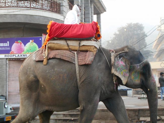 ○○ピクスツアー参加 弾丸インドの旅<br />インドって興味あるけど、ちょっと・・・って思ってる人多いと思います。<br />私もそうでした。<br />そこで、ちょこっとインドに触れてみるにはちょうどいいツアーを見つけたので友達誘って行っちゃいました！<br />1日目成田～デリー<br />2日目デリー観光～ジャイプール<br />3日目ジャイプール観光～アグラ<br />4日目アグラ観光～デリー 出国<br />5日目～成田