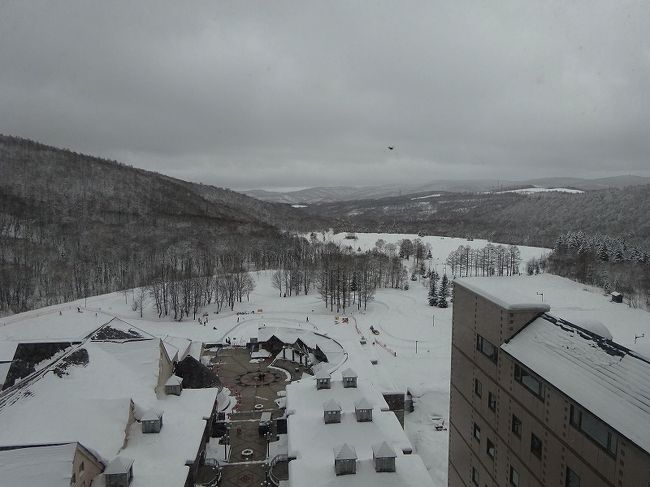 去年の北海道スキー旅行が楽しかったので、今年も計画しました。<br />友人との二人旅です。<br />小樽観光や札幌雪まつりも間に入れて楽しい北海道にするつもりです。<br />今日はセントレアから北海道に飛んで、キロロまで移動します。<br /><br />★2020 冬の北海道<br />1.31　セントレア～キロロ<br /><br />2019年の北海道スキーはこちら<br />https://4travel.jp/travelogue/11446006<br /><br />