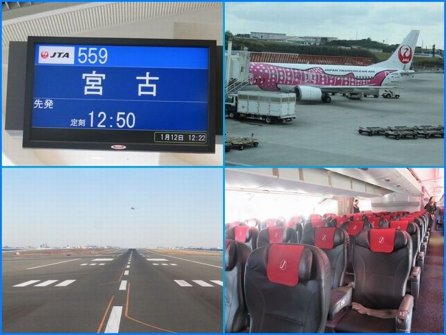 宮古島へ行ったのはこの時が初めてでした。<br />旅の前半は宮古島。後半は沖縄本島。<br />ホテルライフ、島観光、ダイビング、グルメと盛りだくさんの楽しい旅でした。<br /><br />羽田から那覇空港でさくらジンベエジェットに乗り継いで宮古空港まで空の旅です。
