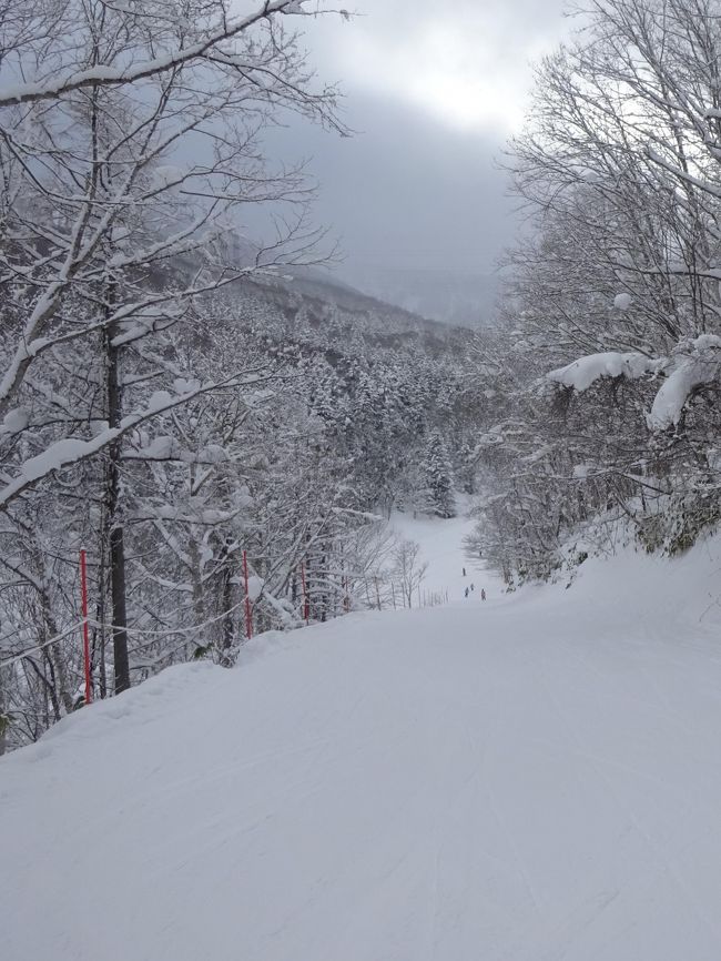 ルスツでスキー（2020 冬の北海道）2.4