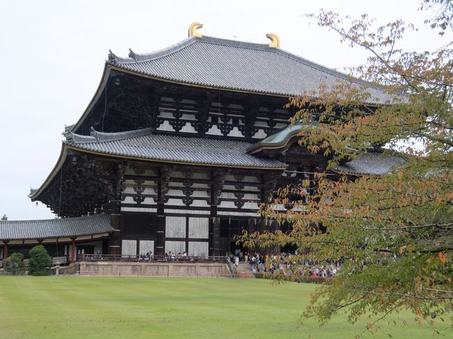 奥さんが奈良に行ったことがない、というので、2019年の11月、文化の日をはさんで奈良に行ってきました。<br />10年くらい前に行ったときと比べて、すごく外国人観光客が増えたなあという感想です。それでも鹿は変わりなく、でもときどきロックオンで迫ってくるので、ドキドキします。ざっと、街歩きをしてきました。<br /><br />東京駅 新幹線<br />↓<br />京都駅 近鉄特急(特急券が要ります)<br />↓<br />近鉄奈良<br /><br />宿泊は、ホテル日航奈良に泊まりました。<br /><br />