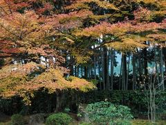 いい古都チケットで行ったり来たり～京都国立近代美術館・随心院・宝泉院・勝林院・三千院編～