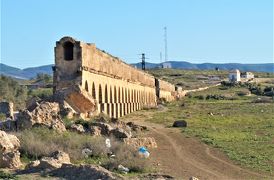 チュニジア周遊とジェルバ島(８)----ケルクアンとバルドー博物館とチュニス近郊