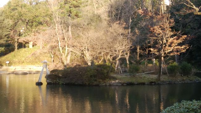 近所にある大きな公園、通称 有栖川公園に行きました。<br />港区は大使館の多い街なので、大使館御用達のスーパーも近くにあります。<br />公園内には都立中央図書館もあります。<br /><br />私の小学校ではGW前後に毎年有栖川公園の写生会がありました。<br /><br />作成中