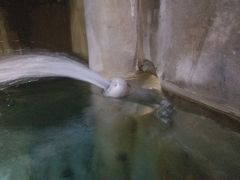 2019年　最後の温泉旅行　水没している庄川湯谷温泉