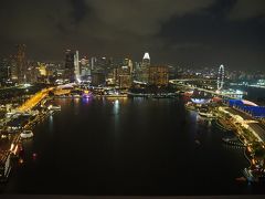 2019～2020年　年末年始の旅  ⑦初めてのシンガポール マリーナ沿いの夜景を満喫！アラブストリートやフォトジェニックな街カトンへも!!