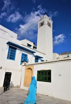 チュニジア周遊とジェルバ島(９)----カルタゴとシディ・ブ・サイド