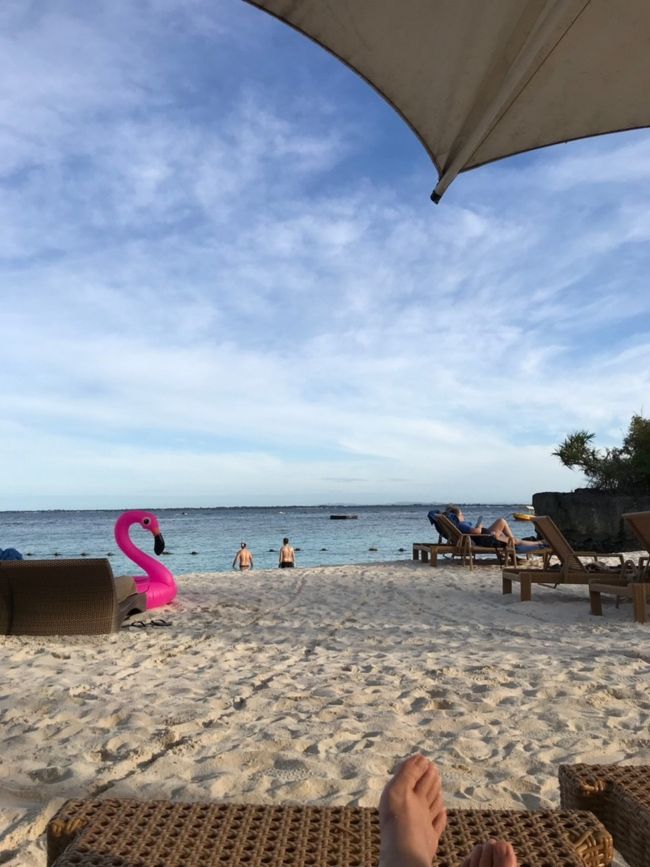 PetitとPlumの旅<br /><br />動画も配信してます<br />https://youtu.be/dK-oRpN9Dbg<br />見てね!<br /><br />初めての海外旅行ハワイも2人で行った<br />高校の同級生コンビ<br />2人で旅に行くのはアメリカの田舎にホームステイした時以来<br />かるく20年前<br />大人になって色々余裕が出て来たからまた旅に行こうぜってな事で<br />始まったPetitとPlumの旅<br />始まるよ~<br /><br />旅ログP&P<br /><br />第2回目はフィリピンのセブ島<br />子連れで旅して来たよ<br />5歳の子T.Tちゃんは初めての海外初めての飛行機でニヤニヤが止まらない<br />日本では好き嫌いの多いT.Tちゃん<br />雰囲気にやられたのかパクパク色々食べてビックリ<br />楽しすぎてごねることもなく終始良い子<br /><br />LCCセブパシフィック航空搭乗<br />シャングリラマクタンリゾート&スパに滞在<br />ホテルから歩いて10分くらいの観光地ラプラプ ヒーローモニュメントで激安の民芸品を買ったり<br />ショッピングモール内のジョリビーでランチしたり<br />オラエスパーニャでディナー<br />マリバゴグリルも美味しかった<br /><br />プライベートビーチでシュノーケリング<br />魚を沢山見て、ニモも沢山見つけて<br />ホテルのkidsプログラムをか体験<br />産まれて初めての異文化交流<br />絵を書いたり大型の遊具で沢山遊んだ<br /><br />やっぱりビーチでのんびりはサイコー<br />あっという間の4泊5日でした<br /><br />※子連れ女子旅でセブ島での注意点※<br /><br />シャングリラホテルから観光地へは徒歩で10分程度だけど、道はあまり良くない<br />歩道はアスファルトがない部分が多くベビーカーの使用はむずかいと思う<br />野良犬なのか飼い犬なのかわからない放飼の犬が多く、かなりのスピードを出した車やトライシクル、バイクが走っている。<br />危険を感じたため、kidsはホテルのプログラムへ預けて大人2人で出かけた。<br /><br />観光地民芸品の売店の売り子さんは優しげで女子2人でも安心して買い物が出来た<br />値切りも出来る<br /><br />本当はその先のシーフードマーケットに行きたかったが、呼び込みが酷くて怖さを感じて行けなかった<br /><br />移動はタクシーが基本だか、やはり女子だからなのかツアーの勧誘などしつこく話しかけて来る<br />いずれも断ったが対応が疲れる<br />5年前に比べて治安などかなり良くなったとは感じたが、まだまだボッタクリは多そうなイメージはある<br />ショッピンセンターなどの施設は日本に比べて清掃が行き届いていなかったり、エスカレーターが動いてなかったりする<br />トイレはペーパーがあったりなかったりする<br />五つ星のホテルでもトイレにペーパーが流せるのは部屋だけだった<br />ウエットティッシュやアルコールジェルなどを持ち歩く事をお勧めする(2019年1月現在)
