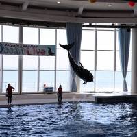 ３世代で動物園と水族館の茨城１泊２日旅行