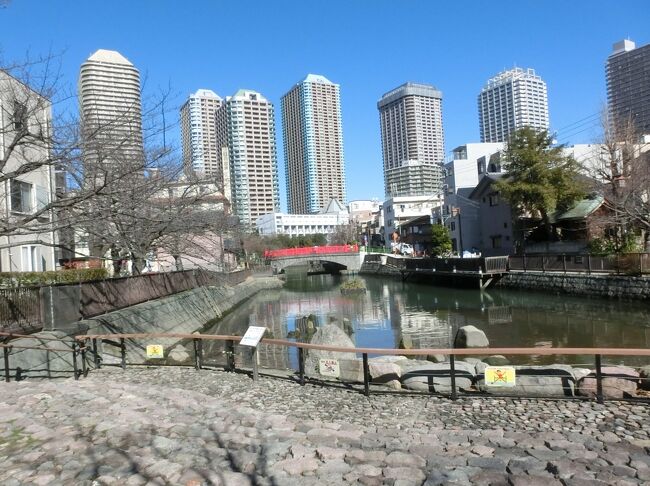 今年のスギ花粉の飛散は早いようで、飛散が始まる前にと出かけました。<br />前回に引き続き中央区です。<br /><br />この地域一帯は徳川家康関東入府以前は葦の茂る湿地帯でした。江戸になり、東京湾の最深部に位置することから船便の為縦横に運河が開削され、掘り上げた土で埋め立てが行われました。<br /><br />実は明石町から築地まで回ろうと計画したのですが、佃島を終わった所で足に引きつりが起こり歩けなくなりました。やむなく中断しタクシーで新橋駅まで行き帰りました。前回本所を歩いたときは大丈夫だったので少し油断したようです。築地方面は他日とします。<br /><br />写真は佃島風景。高層マンションと掘割と佃小橋。<br />