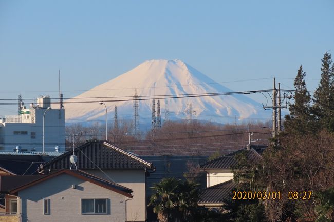 2月1日、午前8時半頃にふじみ野市より素晴らしい富士山が見られました。　昨日に続いて素晴らしかったです。　いよいよ本格的な冬型の気圧配置になったからでしょう。<br /><br /><br /><br /><br />＊写真は素晴らしかった富士山