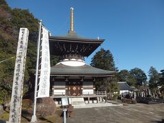 池袋から歩いて飯能を目指します～武蔵野三十三観音徒歩巡礼その１～