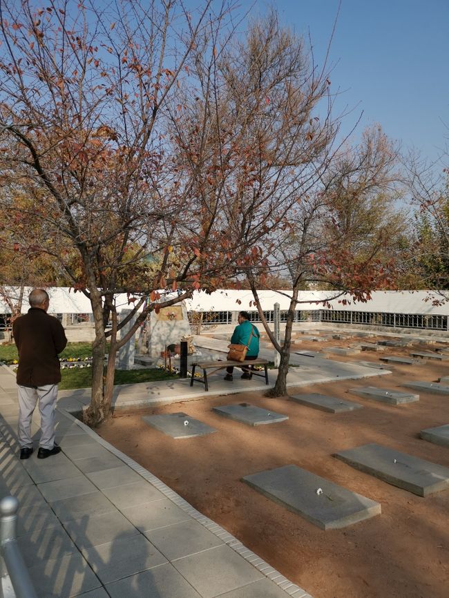 2019年11月11日　ウズベキスタン観光実質6日目　<br /><br />ツアーも最終日で、ヒヴァから空路、首都タシケントに移動。<br /><br />夜の帰国フライトまでの間、抑留日本人墓地（表紙写真）や、やはり抑留日本人と関連があるナボイ劇場などを観光。