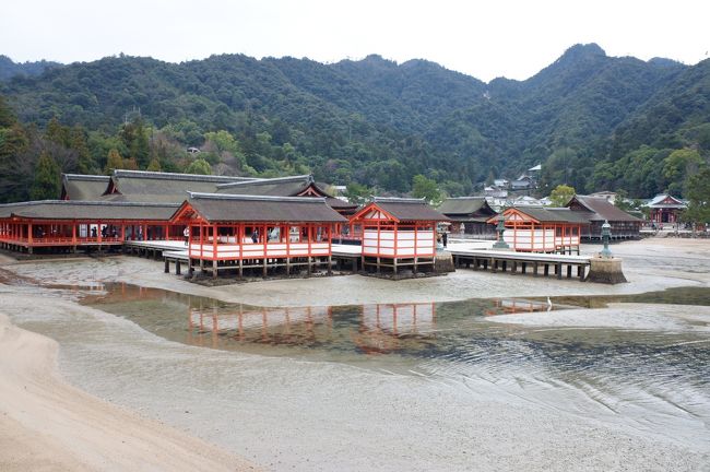 　富山・金沢・福井～岡山・広島の夜行バス「百万石ドリーム広島号」が12月より開始になり、座席数限定ながらキャンペーン価格で片道5000円との事でした。そもそもネーミングが、富山、福井、岡山から見たら微妙ですよね。どれだけ需要があるのかなと思ってしまうほどマイナーなルートですが、面白そうなので乗ってみる事に。さすがに5000円のキャンペーン価格は人気があって、前回の四国号ほどまではいかないもののやはりチケット争奪戦で、現地二日間と思っていたのですが、ようやく取れたのが木曜夜福井発、日曜夜広島発でした。どうせ均一料金なら遠い場所に行った方が得だし、岡山と広島県東部（福山・尾道）は一昨年行っていて、広島市周辺はしばらく行っていないので、行先は広島に決定です。 <br /><br />　うさぎ島（大久野島）も行きたかったのですが今回は割愛、広島市周辺で固めました。初日は宮島、二日目は吉田郡山城と縮景園・広島城（毛利家と広島の歴史）、三日目は平和記念資料館と呉の自衛隊と海軍関係の博物館（戦争と平和）といった感じの旅で、合間を縫ってアストラムライン、広島電鉄、スカイレールと完乗し、広島県内の鉄道路線は完乗です。中国地方で残すは山口県の錦川鉄道と岡山の路面電車の二路線です。 