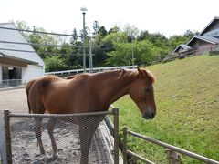 2019年GWの島根旅行（かなぎウエスタンライディングパーク）