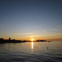Ciao Trieste & Pozdrav Hrvatska 6日目#3(トリエステ#6)