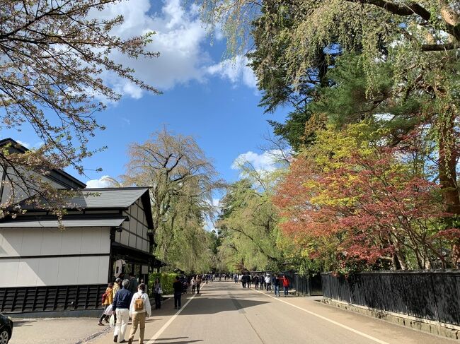 秋田県東部、仙北市の町である角館をバイクツーリングで訪れました。17世期に芦名義勝によって形成された角館の武家屋敷町は、国の重要伝統的建造物群保存地区に指定されています。<br />★まだ桜の開花が残る、武家屋敷通りを散策。