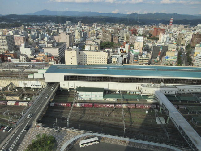 1泊2日の予定で盛岡へ。先ず盛岡駅前にあるマリオスの最上階へ。ここには無料の展望台があり、盛岡駅を眼下に眺めることが出来ます。また、晴れていれば岩手山も眺めることが出来ます。マリオスの次は、市内にある石川啄木新婚の家へ。それほど見所満載という訳ではありませんが、石川啄木が住んでいた当時のまま残されています。最後に宮沢賢治由来の光源社へ。宮沢賢治の作品集なども展示されていて、改めて岩手県が生んだ作家を偲ぶことが出来ました。