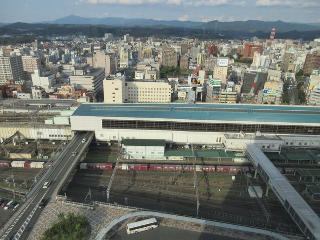 １泊２日の予定で盛岡へ。先ず盛岡駅前にあるマリオスの最上階へ。ここには無料の展望台があり、盛岡駅を眼下に眺めることが出来ます。また、晴れていれば岩手山も眺めることが出来ます。マリオスの次は、市内にある石川啄木新婚の家へ。それほど見所満載という訳ではありませんが、石川啄木が住んでいた当時のまま残されています。最後に宮沢賢治由来の光源社へ。宮沢賢治の作品集なども展示されていて、改めて岩手県が生んだ作家を偲ぶことが出来ました。