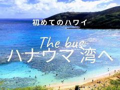 初めてのハワイ・・The Busに乗って東海岸、ハナウマ湾へ