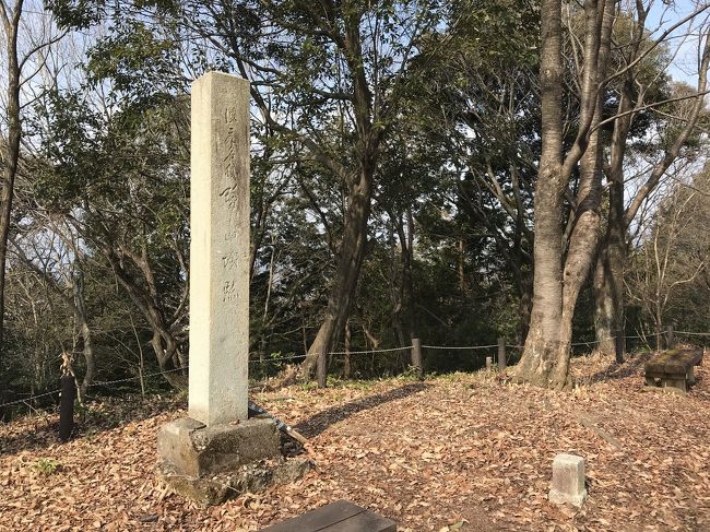 鷺山城趾のある鷺山は、平地部の住宅街にぽっんとある小山。標高は僅かに68m。<br /><br />住宅街の細い路地の先にある鷺山は、麓には駐車場が見当たらず、付近のショッピングモールに車を止める。山頂には鷺山小学校の裏手の登り口から登り、心洞寺側に降りてくる。登り降りの所要時間はほんの数分程度。<br />山頂迄は僅かな道のりしか無いが、静か環境と木々で風景が遮られるために、住宅街の小山に登っているという感じはしなかった。<br /><br />鷺山城跡は、美濃最後の守護土岐頼芸の居城。後に斎藤道三の隠居城。道三の死後廃城となる。<br />城跡の遺構は無いとの説明板に書かれ、城跡の碑だけが鷺山城跡の痕跡かもしれないが、人工的な平坦地や窪みがあり、曲輪・堀跡のようにしか思えなかった。<br />