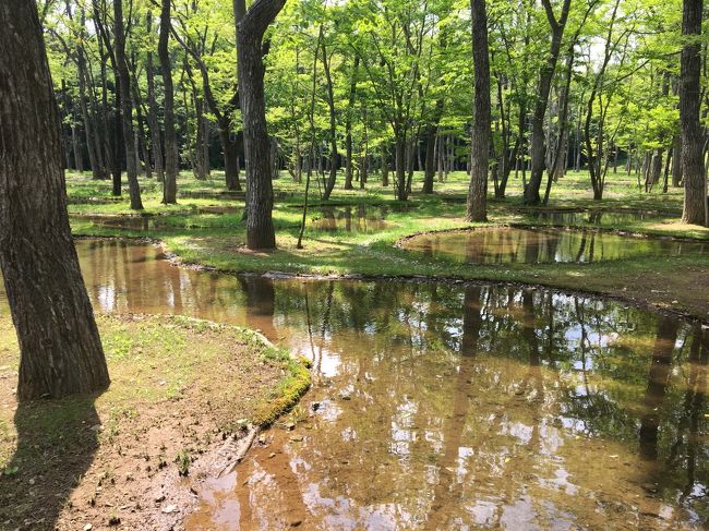 娘の2歳の誕生日に、那須旅行へ出かけました。