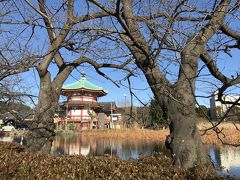 上野公園、東京国立博物館、上野東照宮、弁天堂、旧岩崎邸庭園をぶらり散策