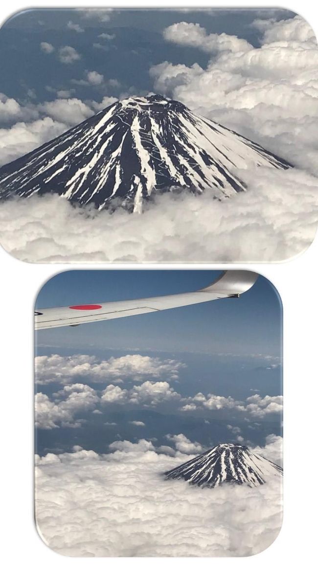 表紙の写真・成田からセントレアに向かう空の上からの富士山。帰ってきた～と安堵する瞬間でもあり、次にすぐ行きたくなる瞬間でもある（＾＾）<br />雪で登山道がくっきり見えますね！<br /><br />「お断り」移動のフライトで大好きな雲などの写真多数です。何時もは減らしていますが、当分空の上には行けませんので備忘録と、早く終息して空の上に行きたい願望です。<br /><br /><br />皆様、2019年・約2週間の２人旅の備忘録を、長い間ご覧くださいまして有難うございました。<br />今は新型コロナウイルスで旅にも出られませんので、旅行に行ってきた気分になってご覧いただけましたら幸いです。<br /><br />2019年に古希を迎えましたが、今の所2人とも持病も無く有難いです。<br />ただ、思ってもみない新型コロナウイルスの蔓延で、2020年は結婚45周年旅行予定でしたが取りやめました。<br />2019年に楽しめたからとポジティブに・・<br /><br />また、いずれ良い方向に終息しましたら、大好き欧州旅行に旅立ちます。<br />それまで焦らず辛抱・・<br />皆様もお気をつけてお過ごしくださいませ。<br /><br /><br /><br />☆2019・5月22日（水）ローマ11：20＾ヘルシンキ15：40。<br />ヘルシンキ17：35～成田（23日・木）9：05。<br />成田10：25～セントレア11：35。<br /><br />今回のイタリア行きで悩んだのは、JALかフィンランド航空かです。<br />セントレアからはフィンランド空港まで直通に行けるフィンナーの方が、時間的にも楽なのですが、乗り心地・座席並びを考えると時間は掛かりますが、JALに軍配があがります。<br />今回は夫はマイルの特典で、私は早めに航空券を買い求めました。<br />（2017・9月の一人旅に特典マイルを使ったので一人分のみの残）<br /><br />イタリア国内の長距離移動は、早得のイタロを利用しました。<br />2017．9月の一人旅時は旧国鉄のトレ二タリアしか利用せず、今回色々比較してみてイタロの方が、お値打ちなのが分かりました。<br /><br />「今回の日程」備忘録の為ながくなりますが・・<br />（5.9木）セントレア8：20－成田9：30（JL)成田10：40－ヘルシンキ14：50（JL)ヘルシンキ16：20－ローマ18：45（AY)（ローマ泊）<br /><br />（5.10金）ローマ市内観光（ローマ泊）<br /><br />（5.11土）ローマ観光後、夜にナポリ移動（ナポリ泊）<br /><br />（5.12日）ナポリからカプリ島へ移動（カプリ島泊）<br /><br />（5.13月）カプリ島～ナポリ移動後、ナポリ観光（ナポリ泊）<br /><br />（5.14火）ナポリ～フィレンツェ移動後観光（フィレンツェ泊）<br /><br />（5.15水）フィレンツェ観光（フィレンツェ泊）<br /><br />（5.16木）フィレンツェ～ベネチア移動後観光（ベネチア泊）<br /><br />（5.17金）ベネチア観光後パッサーノ・グラッパ移動後観光（グラッパ泊<br /><br />（5.18土）グラッパ～ボローニャ移動後モデナ観光（ボローニャ泊）<br /><br />（5.19日）ボローニャ～パルマ観光（ボローニャ泊）<br /><br />（5.20月）ボローニャ～フィレンツェ到着後、ピサ・ルッカ観光（フィレンツェ泊）<br /><br />（5.21火）フィレンツェ～ローマ移動後市内観光（ローマ泊）<br /><br />（5.22水～5月23）ローマ～ヘルシンキ～成田～中部セントレア～自宅。<br /><br />久しぶりの欧州のフライトで疲れた夫ですが、カプリ島でマッタリして元気になりました。<br />楽しかったです^_^<br /><br />初欧州2人旅はヨチヨチ歩きでドイツ・ウィーン・プラハを旅してから、だいぶ進歩して4トラに出会え、現在はアルバム替わりの旅行記がボケ防止です^_^<br /><br />カメラ・スマホで旅程を記録していますので、インスタ映えはしませんが・・・<br />次は何処へ行こうかな～(^^)<br /><br />今年9月でロンドンに2カ月語学留学して10年になります。今思うと良く行ったな～と思っていますが、今は孫達とロンドンへ行こうと夢見ています。<br /><br /><br /><br /><br /><br /><br /><br /><br /><br /><br /><br /><br /><br /><br /><br />