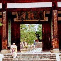 黄檗山萬福寺と京都の焼肉弘に六曜社珈琲店、大阪の洋食屋を二軒