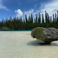 ニューカレドニア8日間の旅 ～3日目～