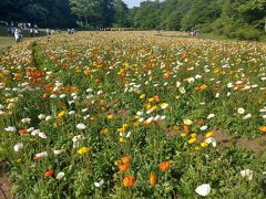 2018年春の森林公園